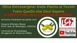 Webinar su Olio EVO e derivati