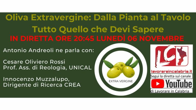 Webinar su Olio EVO e derivati