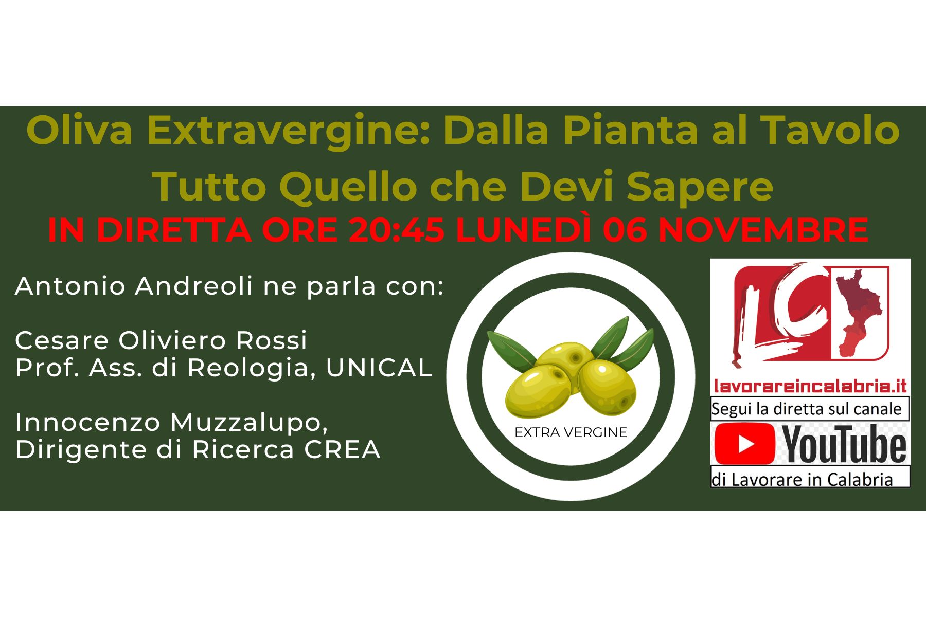 Olio Extravergine: Dalla pianta alla tavola, tutto quello che devi sapere