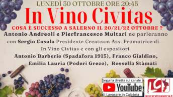 Webinar In Vino Civitas
